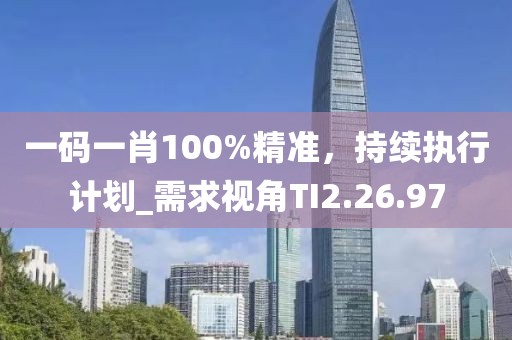 一码一肖100%精准，持续执行计划_需求视角TI2.26.97