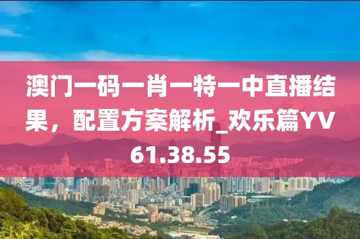 澳门一码一肖一特一中直播结果，配置方案解析_欢乐篇YV61.38.55