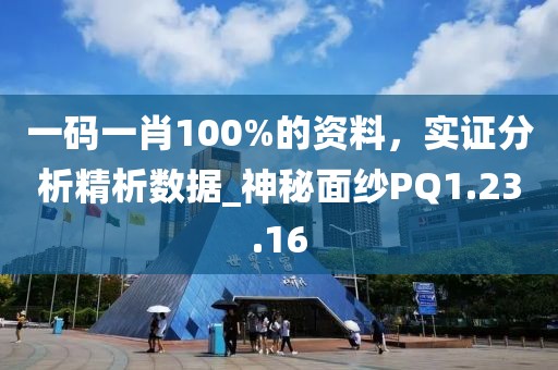 一码一肖100%的资料，实证分析精析数据_神秘面纱PQ1.23.16
