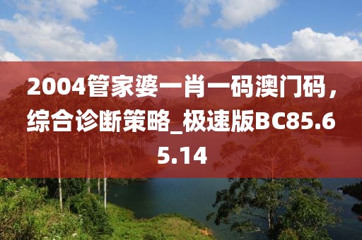 2004管家婆一肖一码澳门码，综合诊断策略_极速版BC85.65.14
