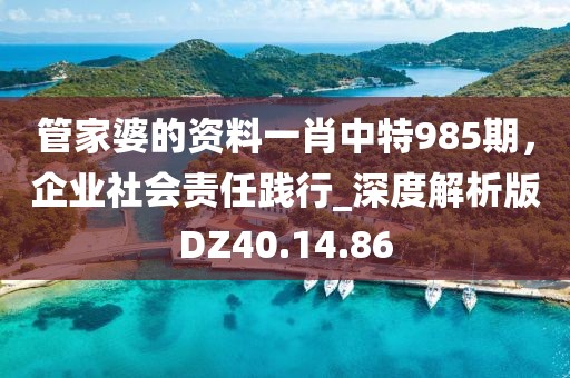 管家婆的资料一肖中特985期，企业社会责任践行_深度解析版DZ40.14.86