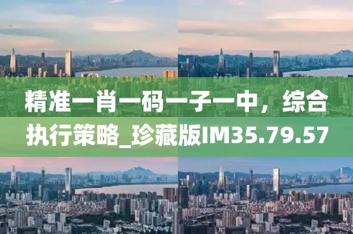 精准一肖一码一子一中，综合执行策略_珍藏版IM35.79.57
