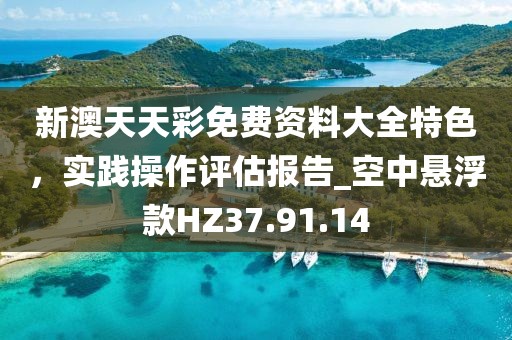 新澳天天彩免费资料大全特色，实践操作评估报告_空中悬浮款HZ37.91.14