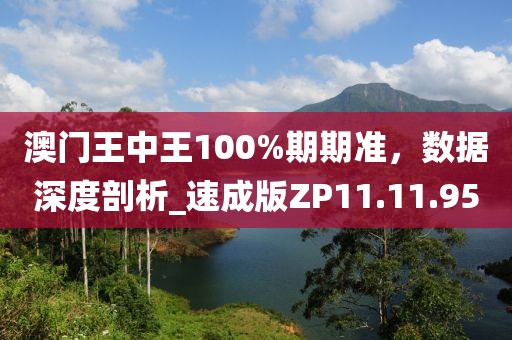澳门王中王100%期期准，数据深度剖析_速成版ZP11.11.95