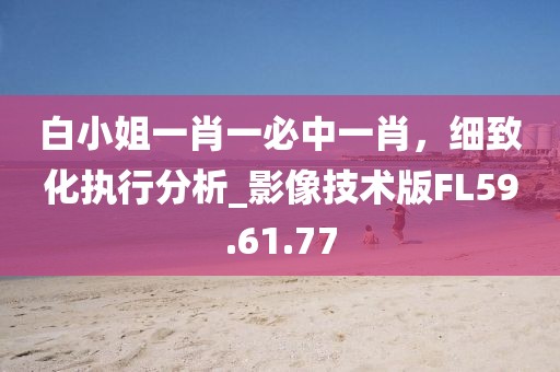 白小姐一肖一必中一肖，细致化执行分析_影像技术版FL59.61.77