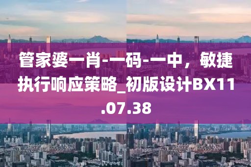 管家婆一肖-一码-一中，敏捷执行响应策略_初版设计BX11.07.38