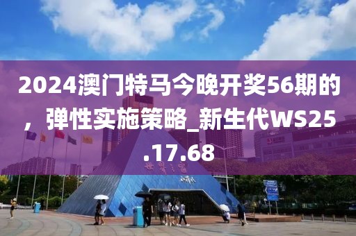 2024澳门特马今晚开奖56期的，弹性实施策略_新生代WS25.17.68