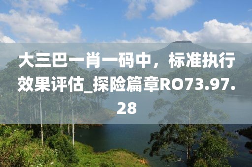 大三巴一肖一码中，标准执行效果评估_探险篇章RO73.97.28