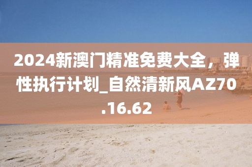 2024新澳门精准免费大全，弹性执行计划_自然清新风AZ70.16.62