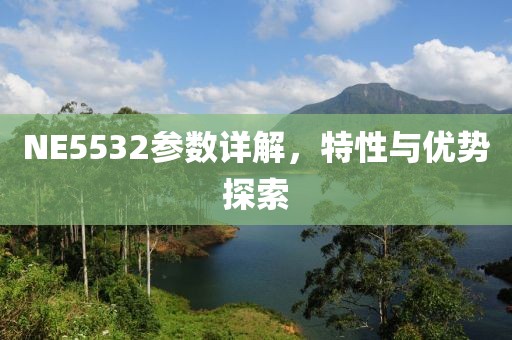 NE5532参数详解，特性与优势探索