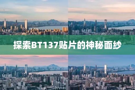 2024年11月 第115页