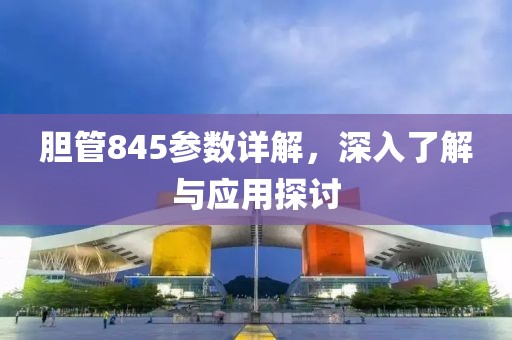 胆管845参数详解，深入了解与应用探讨