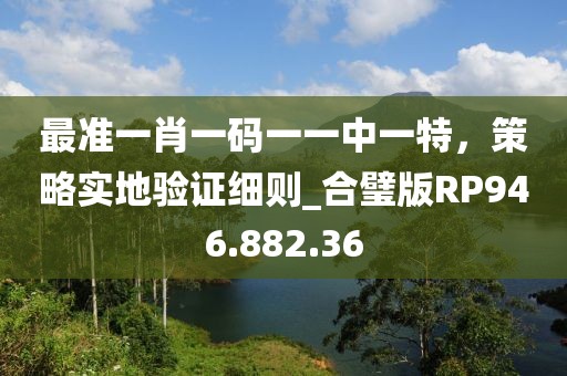 最准一肖一码一一中一特，策略实地验证细则_合璧版RP946.882.36
