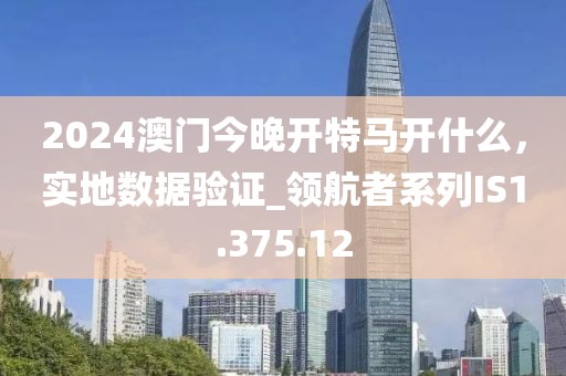 2024澳门今晚开特马开什么，实地数据验证_领航者系列IS1.375.12