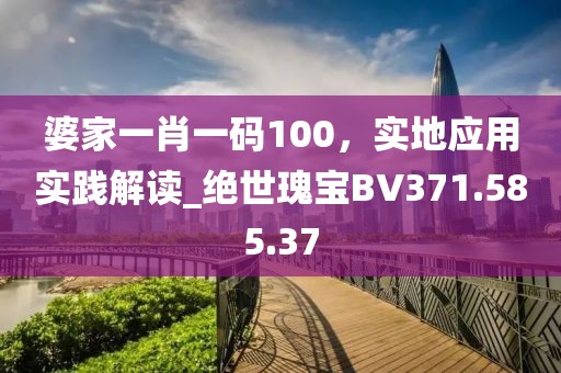 婆家一肖一码100，实地应用实践解读_绝世瑰宝BV371.585.37