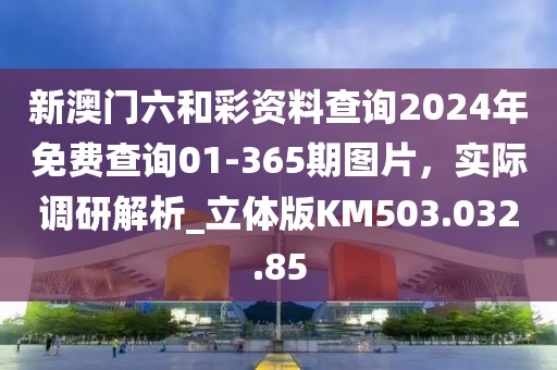 新澳门六和彩资料查询2024年免费查询01-365期图片，实际调研解析_立体版KM503.032.85
