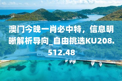 澳门今晚一肖必中特，信息明晰解析导向_自由挑选KU208.512.48