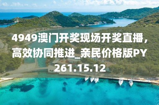 4949澳门开奖现场开奖直播，高效协同推进_亲民价格版PY261.15.12