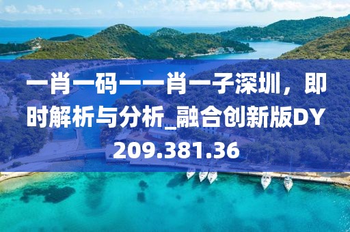 一肖一码一一肖一子深圳，即时解析与分析_融合创新版DY209.381.36