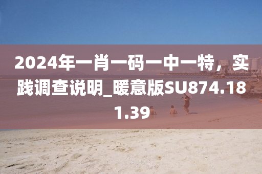 2024年一肖一码一中一特，实践调查说明_暖意版SU874.181.39