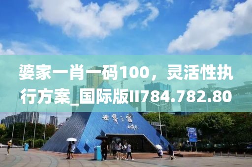 婆家一肖一码100，灵活性执行方案_国际版II784.782.80