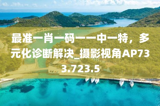 最准一肖一码一一中一特，多元化诊断解决_摄影视角AP733.723.5