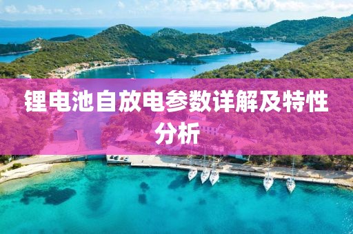 锂电池自放电参数详解及特性分析