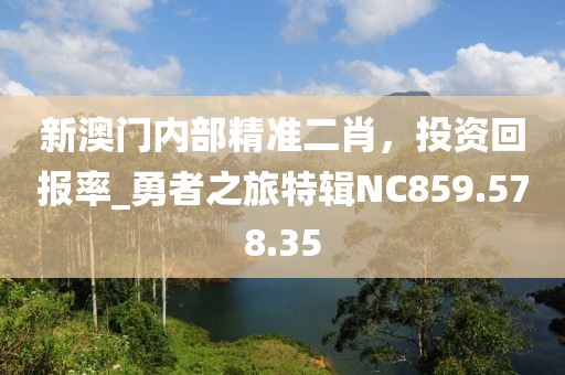 新澳门内部精准二肖，投资回报率_勇者之旅特辑NC859.578.35