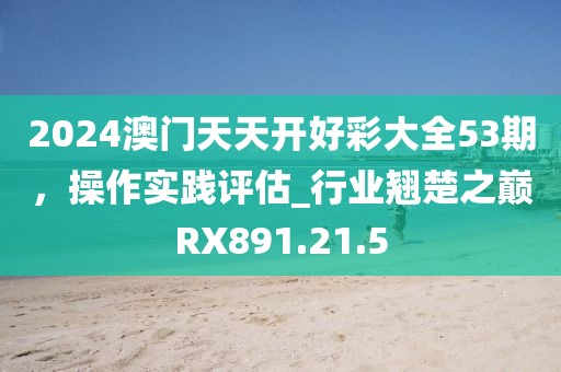 2024澳门天天开好彩大全53期，操作实践评估_行业翘楚之巅RX891.21.5