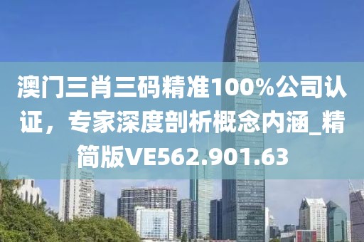 澳门三肖三码精准100%公司认证，专家深度剖析概念内涵_精简版VE562.901.63
