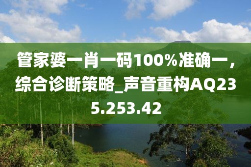 管家婆一肖一码100%准确一，综合诊断策略_声音重构AQ235.253.42