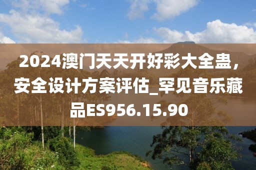 2024澳门天天开好彩大全蛊，安全设计方案评估_罕见音乐藏品ES956.15.90
