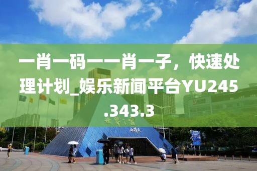 一肖一码一一肖一子，快速处理计划_娱乐新闻平台YU245.343.3