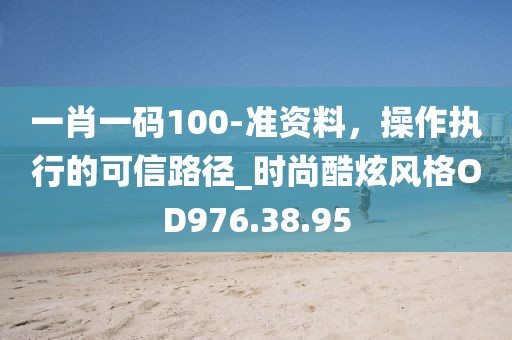 一肖一码100-准资料，操作执行的可信路径_时尚酷炫风格OD976.38.95