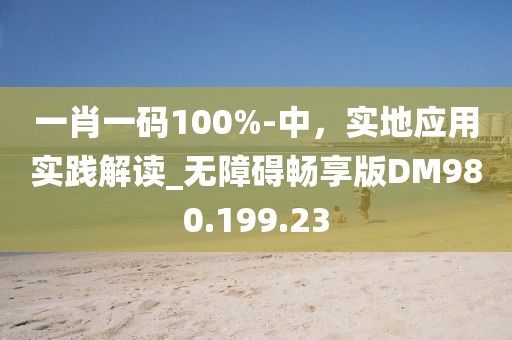 一肖一码100%-中，实地应用实践解读_无障碍畅享版DM980.199.23