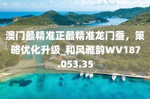 澳门最精准正最精准龙门蚕，策略优化升级_和风雅韵WV187.053.35