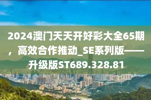 2024澳门天天开好彩大全65期，高效合作推动_SE系列版——升级版ST689.328.81