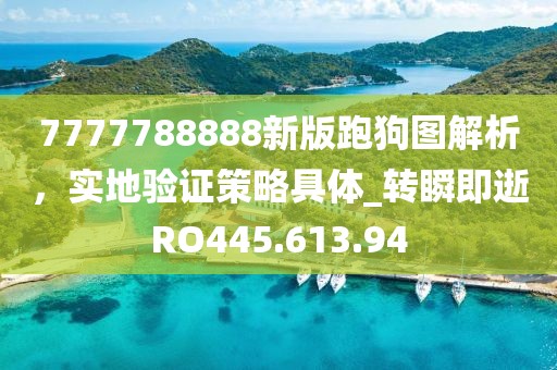 7777788888新版跑狗图解析，实地验证策略具体_转瞬即逝RO445.613.94