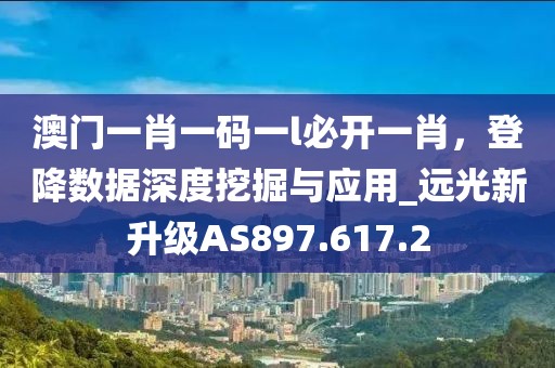 2024年11月 第22页