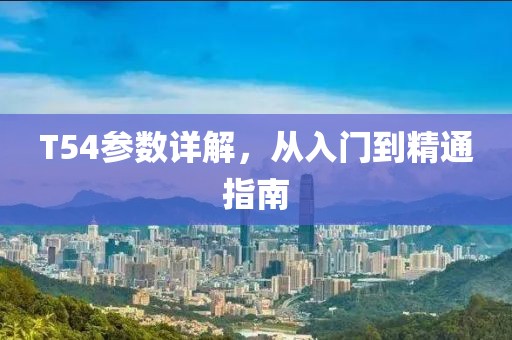 T54参数详解，从入门到精通指南