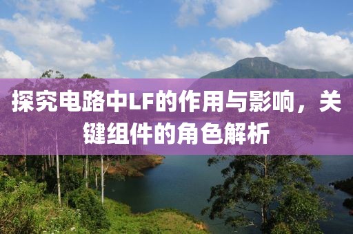 探究电路中LF的作用与影响，关键组件的角色解析