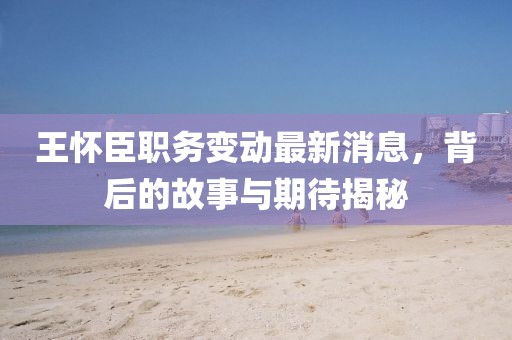王怀臣职务变动最新消息，背后的故事与期待揭秘