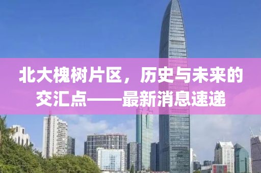 北大槐树片区，历史与未来的交汇点——最新消息速递