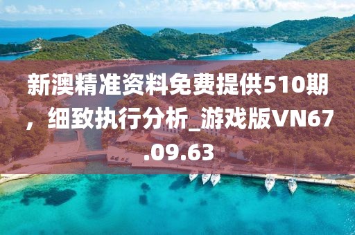 新澳精准资料免费提供510期，细致执行分析_游戏版VN67.09.63