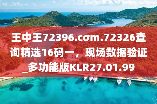 王中王72396.cσm.72326查询精选16码一，现场数据验证_多功能版KLR27.01.99