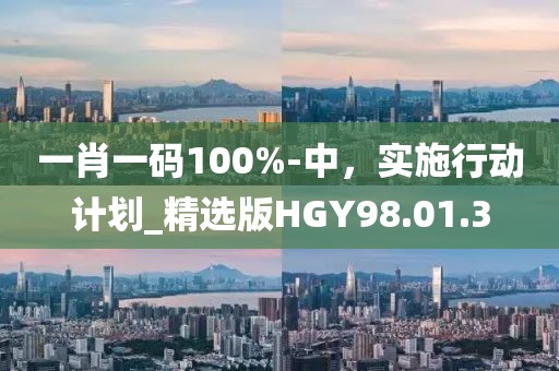 一肖一码100%-中，实施行动计划_精选版HGY98.01.3