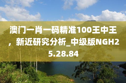 澳门一肖一码精准100王中王，新近研究分析_中级版NGH25.28.84
