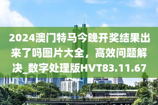 2024澳门特马今晚开奖结果出来了吗图片大全，高效问题解决_数字处理版HVT83.11.67