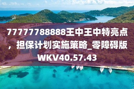 77777788888王中王中特亮点，担保计划实施策略_零障碍版WKV40.57.43