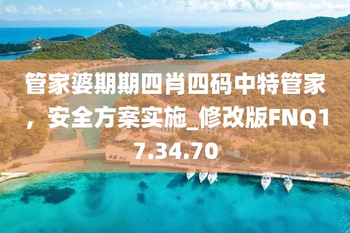 管家婆期期四肖四码中特管家，安全方案实施_修改版FNQ17.34.70